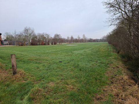 Moormerland Bauernhöfe, Landwirtschaft, Moormerland Forstwirtschaft