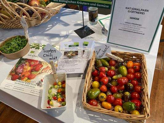 Mittersill - Gärtnerei.JPG