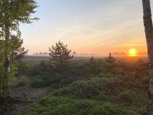 Naturschutzgebiet Steinhuder Meer
