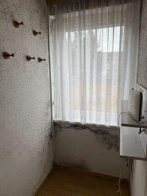 WhatsApp Image 2026-02-13 at 15.12.04 (1).jpeg