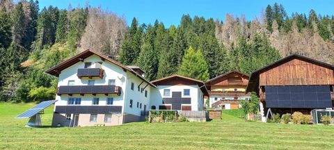 Anras Bauernhöfe, Landwirtschaft, Anras Forstwirtschaft