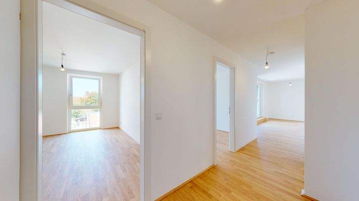 412-Arbeitergasse-08112025_162340