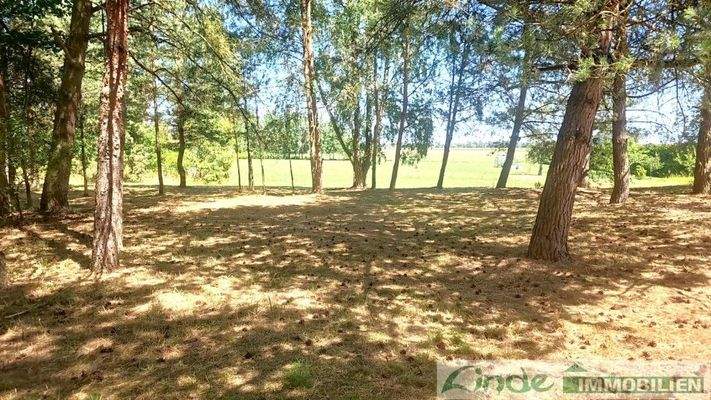 Baufläche weiteres Wohnhaus