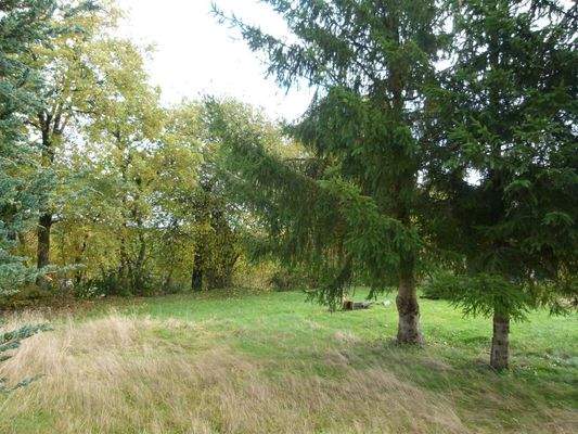 großes Gartengrundstück