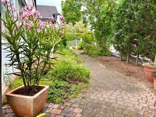 Garten.jpeg