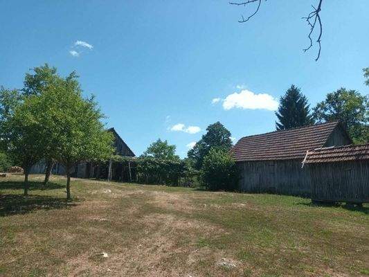 WhatsApp Image 2025-07-01 at 08.24.51 (1)