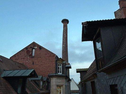 Schornstein mit Storchennest 