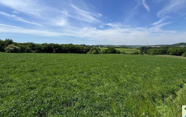 Grundstück Ansicht 1