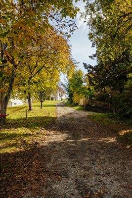 Weganteil GStNr. 40/1 - Zufahrt zu GStNr. 40/5