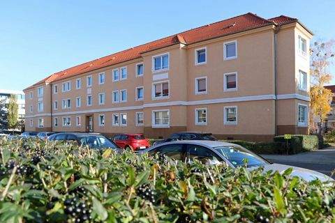 Dessau-Roßlau Wohnungen, Dessau-Roßlau Wohnung mieten