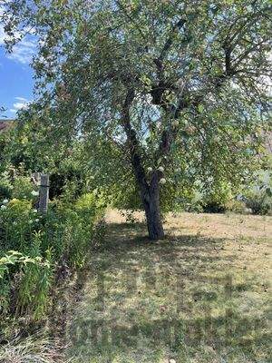 Baugrundstück Schwbach Penzen image017