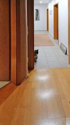 Zu den Schlafzimmern...