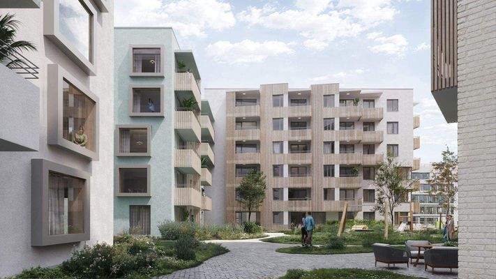 241220_Nestbau3_Freiburg_cam10 _B.jpg