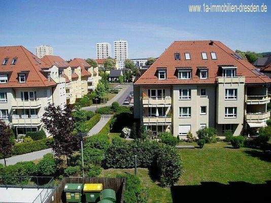 Ausblick nach hinten