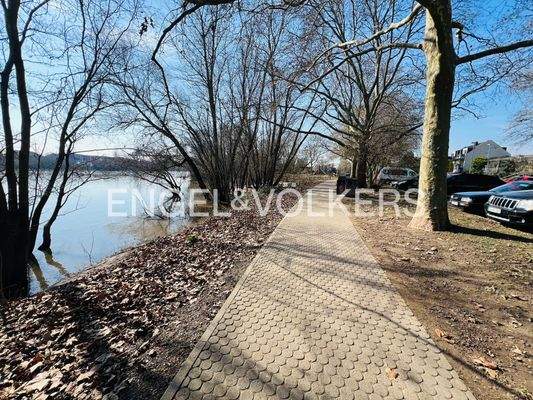 In nur wenigen Metern erreicht man das Mainufer mit wunderschönen Spazierwegen bis Hochheim oder Mainz
