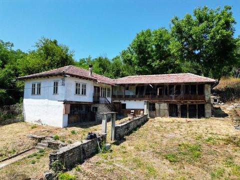 Dryanovo Häuser, Dryanovo Haus kaufen