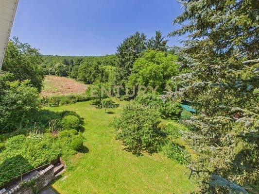 Blick in den Garten aus dem Atelier DG