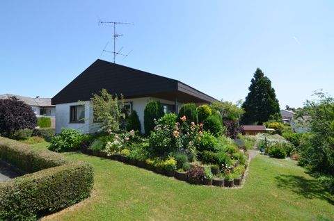 Ertingen Häuser, Ertingen Haus kaufen