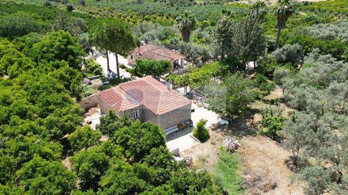 img_4169f3f8-c7af-4646-b6ca-de1137cc40be