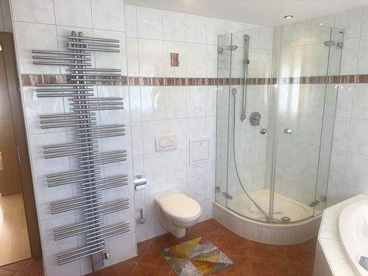 DG_Tageslichtbad_Handtuchheizkörper