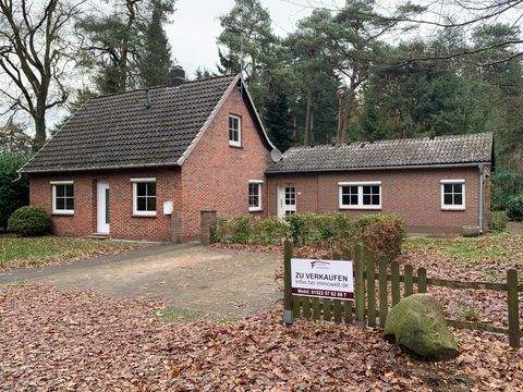 Hatten Häuser, Hatten Haus kaufen