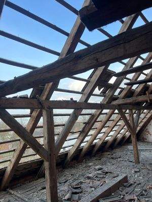 WhatsApp Bild 2025-10-13 um 07.36.16_53e2ab64.jpg