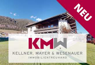 Exp. 1393 Startseite - NEU