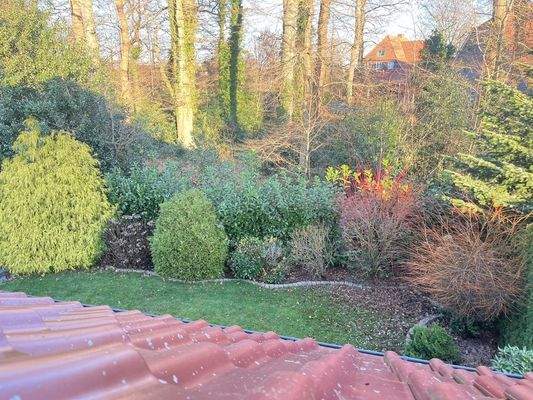 Blick ins Grüne aus dem Velux