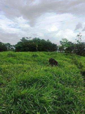 ImmoScout360 Farmland 2,5 ha