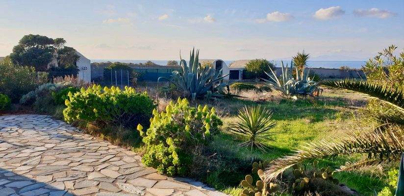 2WhatsApp Image 2025-06-14 at 12.42.10.jpeg