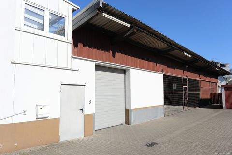 Gifhorn Halle, Gifhorn Hallenfläche