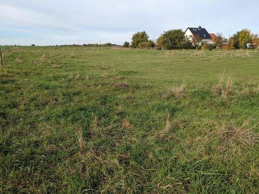 Weide (kann dazu gepachtet werden)