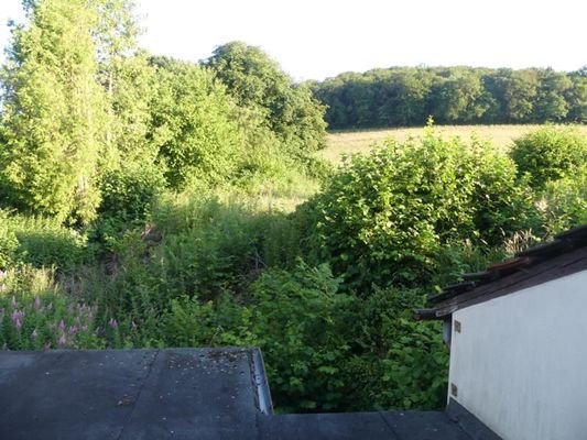 Aussicht Ri. Süden mit möglicher Dachterrasse