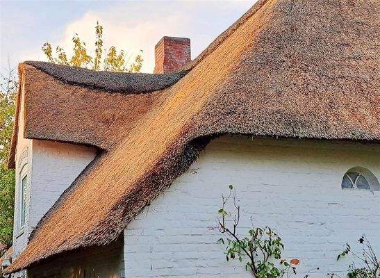 Reetdach überarbeitet 11/22