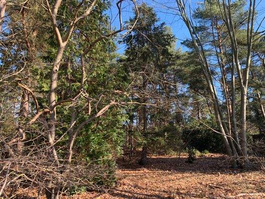 Oder doch Massiv bauen ........hier kannst du es.....