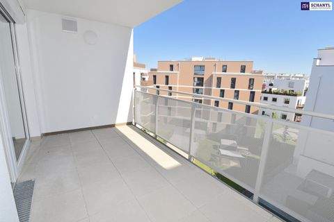 Schwechat Wohnungen, Schwechat Wohnung mieten