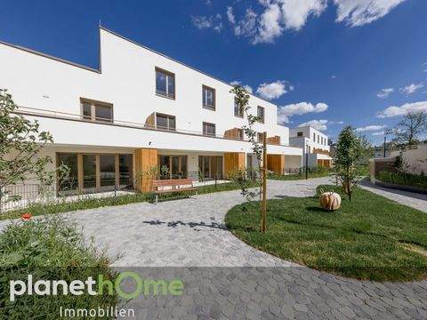 Krems an der Donau Wohnungen, Krems an der Donau Wohnung kaufen