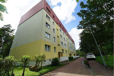 Dessau-Roßlau Wohnungen, Dessau-Roßlau Wohnung mieten