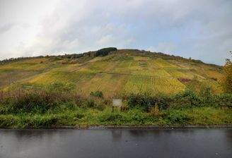 St. Laurentius-Straße 5 – 54320 Waldrach