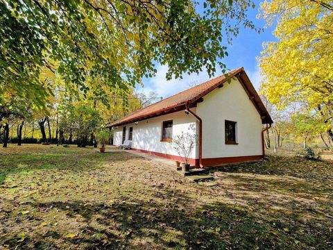 Kaskantyú Bauernhöfe, Landwirtschaft, Kaskantyú Forstwirtschaft