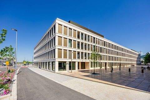 Heidelberg Ladenlokale, Ladenflächen 