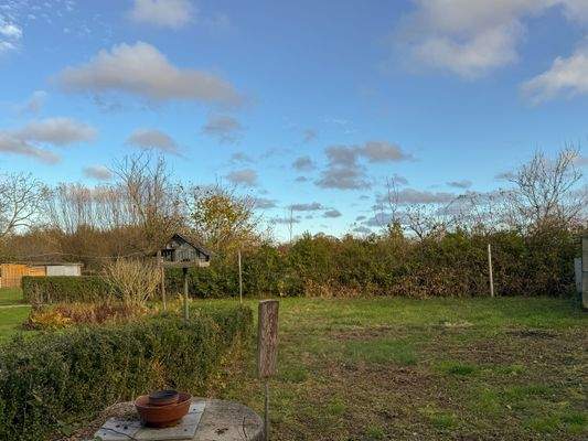 12. Blick in den Garten.jpg