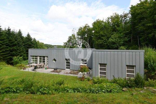 Rückansicht (Blick 2)