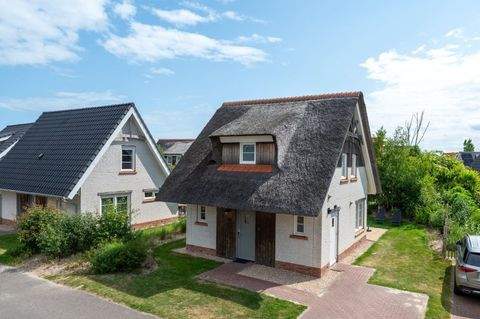 Nieuwvliet Häuser, Nieuwvliet Haus kaufen