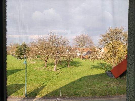 Blick aus dem Fenster