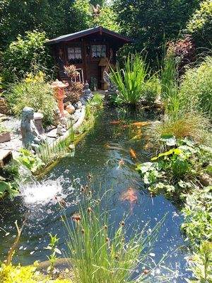 Gartenansicht mit Koiteich2
