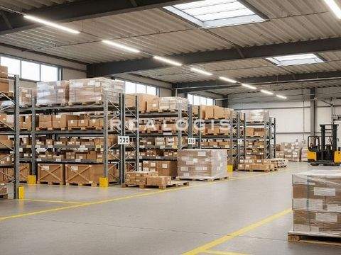 Kirchheim unter Teck Halle, Kirchheim unter Teck Hallenfläche