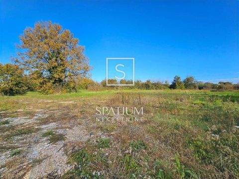 Liznjan Bauernhöfe, Landwirtschaft, Liznjan Forstwirtschaft