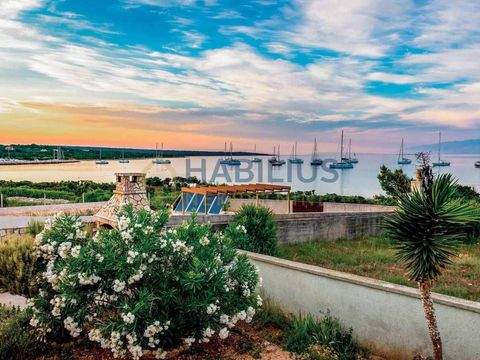 Silba - Olib - Premuda Bauernhöfe, Landwirtschaft, Silba - Olib - Premuda Forstwirtschaft