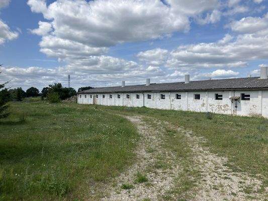 20250619_115545108_iOS